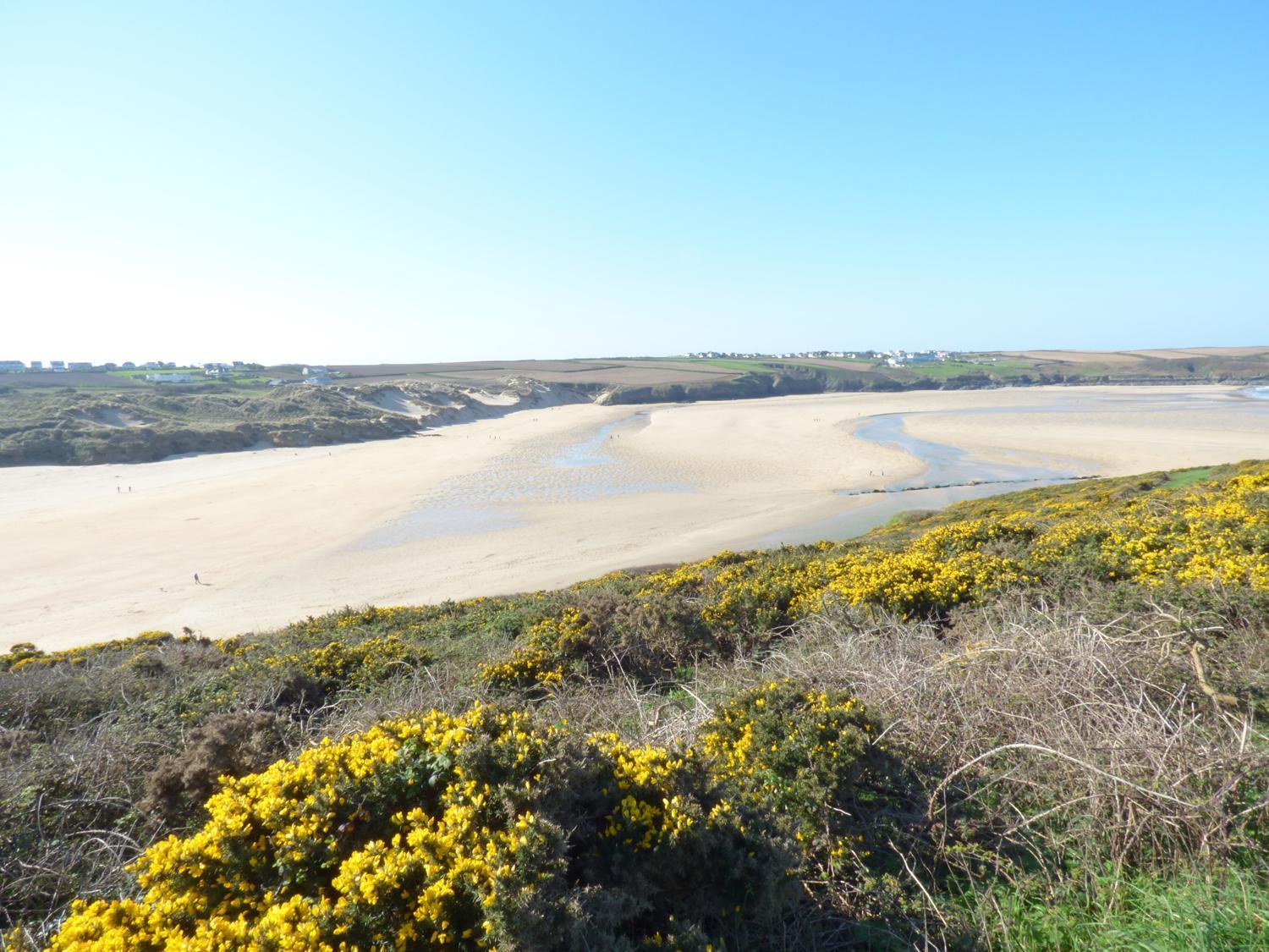 Fistral Breeze
